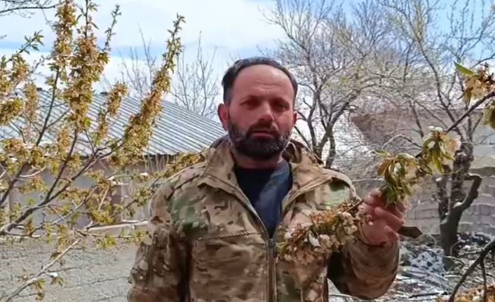 Yozgat’ta zirai don meyve ağaçlarını vurdu