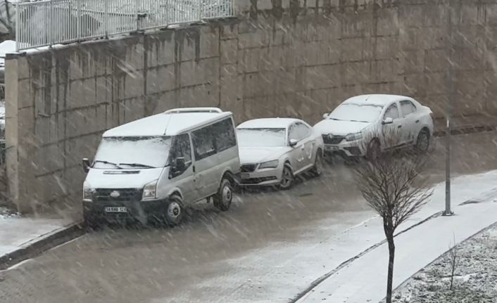 Yüksekova’da kar yağışı etkili oldu