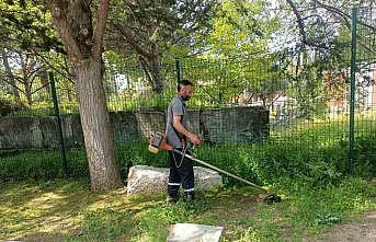 Afrodisias Antik Kentinde ilaçlama çalışması başlatıldı