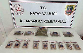 Ağaçın altından uyuşturucu hap ve esrar çıktı