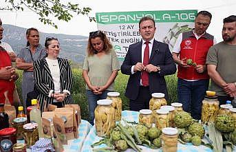 Akçapınarda ‘Hibrit Enginar Hasadı Tarla Günü düzenlendi