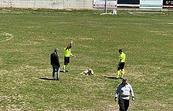 Amatör müsabakada sahaya giren köpeğe kırmızı kart
