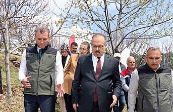 Aydında Kestane zararlısına karşı biyolojik mücadele