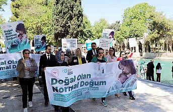 Balıklıgölde quot;Doğal Olan Normal Doğumquot; yürüyüşü