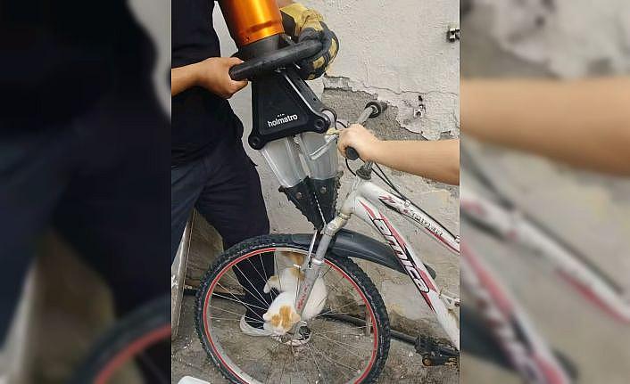 Bisikletin jant teline sıkışan yavru kediyi itfaiye kurtardı