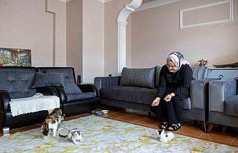 Cami avlusuna sığınan anne kedinin yavruları sahiplendirilecek