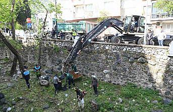 Çaybaşı Deresi hem temizlendi hem de yeni fidanlar dikildi