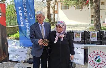 Çiftçilere 140 bin adet çilek fidesi dağıtıldı