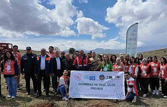 Divriğide gençlerden ‘yeşil izler