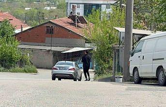Duyarlı sürücü ve vatandaş, kaplumbağaları ezilmekten kurtardı