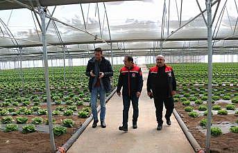 Erzincan seralarında yılda 3 ürün dönemi
