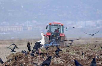 Erzurumda traktör sayısı 22 bini geçti