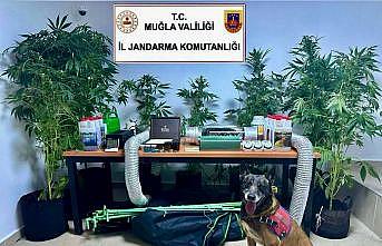 Evini uyuşturucu bahçesine çeviren öğretmen açığa alındı