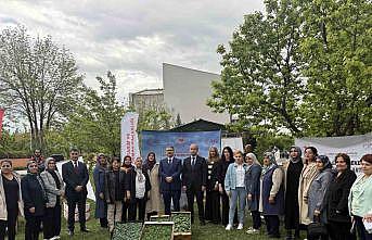 Iğdırda kadın çiftçilere fide dağıtımı yapıldı