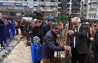 Isparta Belediyesi ücretsiz meyve fidanı dağıtacak