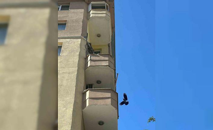 Kadıköyde balkonu çöken bina mühürlendi