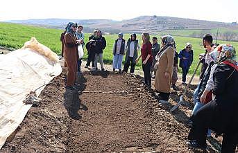 Kadın çiftçilerle sebze fidesi yetiştirme kursu düzenlendi