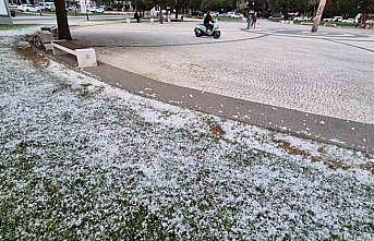Kar değil polen