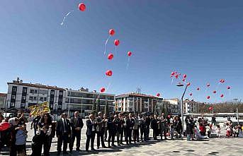 Karapınarda Otizm Farkındalık Ayı etkinliği