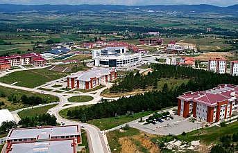 Kastamonu Üniversitesinde simetrik tasarımların mozaik yapısı araştırılacak
