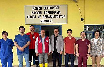 Kemerde sokak hayvanlarına destek çağrısı