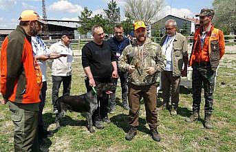 Kütahyada Fermalı Av Köpekleri Mera Yarışması düzenlendi