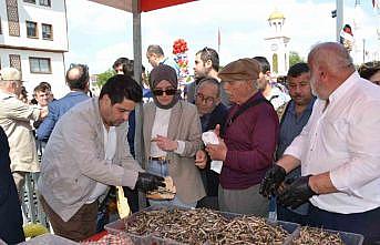 Manisadaki festivalde 2 ton hamsi dağıtıldı