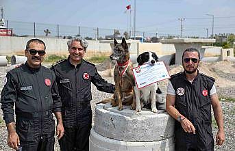 Mersin itfaiyesinin kahraman patileri Ares ve Rexten önemli başarı