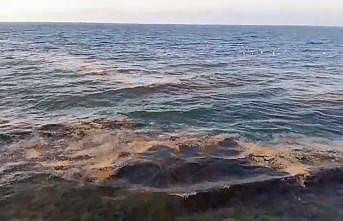 Mudanya sahilinde görülen müsilaj tedirgin etti
