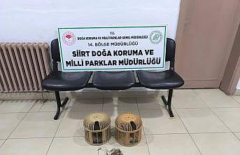Siirtte keklik avına 111 bin 855 lira ceza