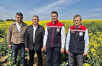 Tekirdağ İl Tarım Müdürü: quot;Arılar ölürse, hayat da dururquot;