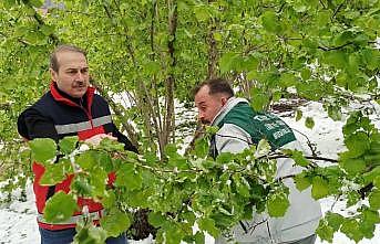 Termede hasar tespiti çalışmaları başladı