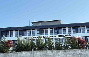 Tokatta jandarmadan yolsuzluk operasyonu: 7 gözaltı
