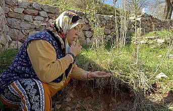 Tokatta türbenin toprağını yiyerek dua ediyorlar