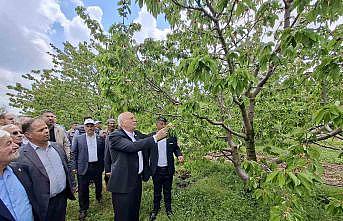 TZOB Başkanı Bayraktar, Akşehirde zirai dondan etkilenen bahçeleri inceledi