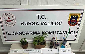 Uyuşturucu partisine jandarma baskını: 8 gözaltı
