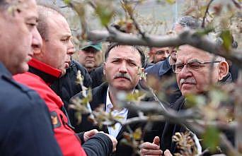 Vali Çiçek ve Başkan Büyükkılıçtan Develide ‘zirai don incelemesi