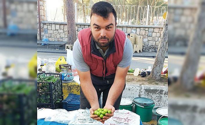 Vazgeçilmez yaz meyvesi erik tezgahlarda yerini aldı