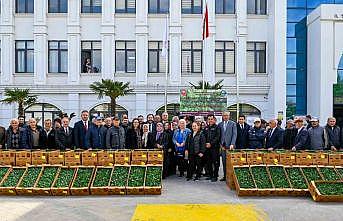 Yalovada çiftçilere 375 bin adet sebze fidesi dağıtıldı