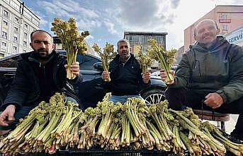 Yayla muzunun destesi 100 TLden satışa çıkarıldı