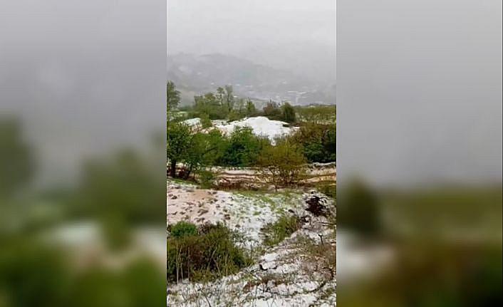Yaz geldi derken, İzmir Ödemiş beyaza büründü