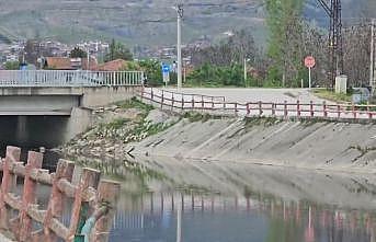Yeşilırmak Nehrinde balık ölümleri incelemeye alındı