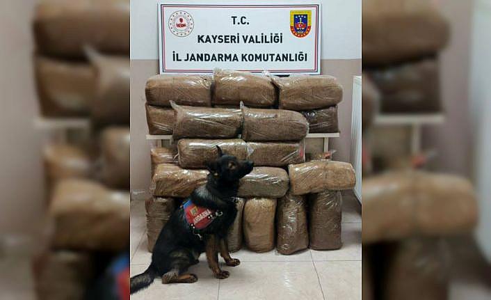 Yolcu otobüsünde kaçak tütün ele geçirildi