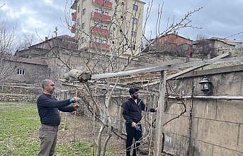 Yüksekovada ağaçlar budandı, uygulamalı eğitim verildi