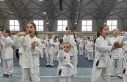 Osmangazi’de karate eğitim semineri