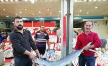 Balıkçı Oktay Yılmaz:”Kalbe iyi gelen omega 3 kaynağı hamsi, bu sene hem bol hem de iri olacak”