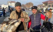 Kaz tüketimi arabaşına bağlı