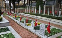 Şehitlikte çiçekler açtı