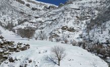 Şırnak’ta dağlar karla kaplı