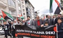 Ahlat’ta Gazze’ye destek yürüyüşü düzenlendi